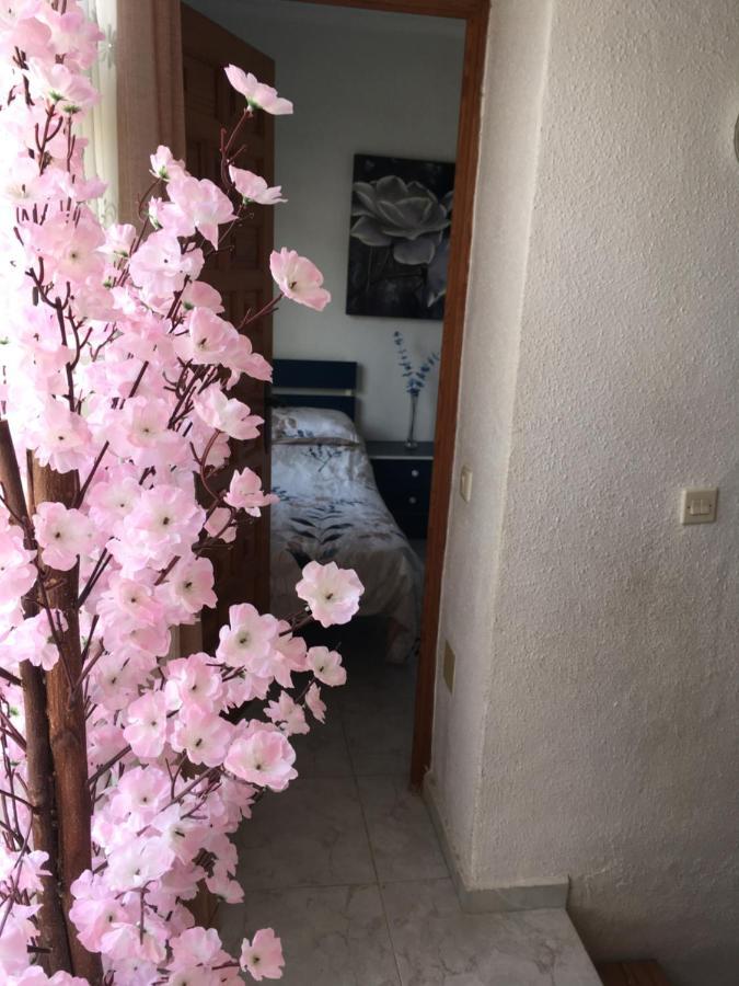 Casa Phoenix Bed & Breakfast Panzió La Mariña Kültér fotó