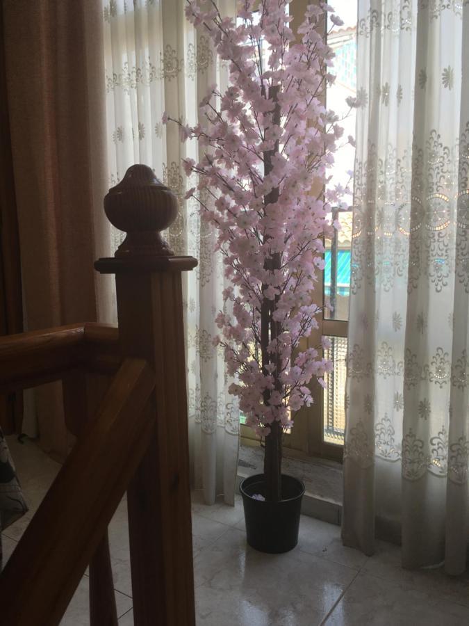 Casa Phoenix Bed & Breakfast Panzió La Mariña Kültér fotó